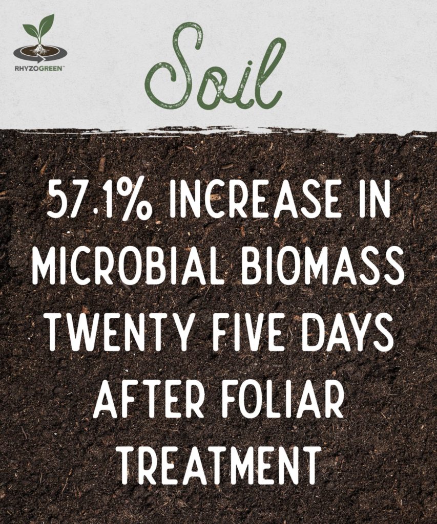 Soil Microbial Biomass