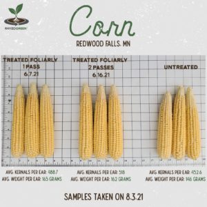 Corn Sample Chart