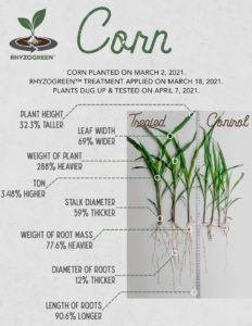 Corn Comparison Stat