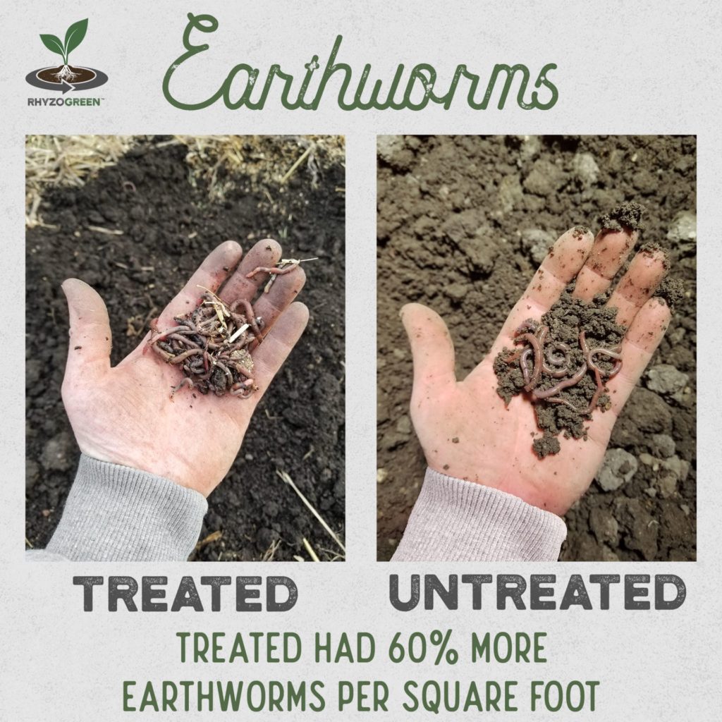 Earthworms Comparison