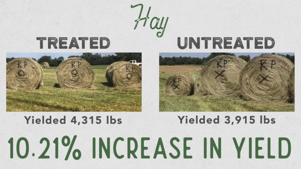 Hay Comparison Yield Increase