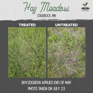 Hay Meadow Comparison