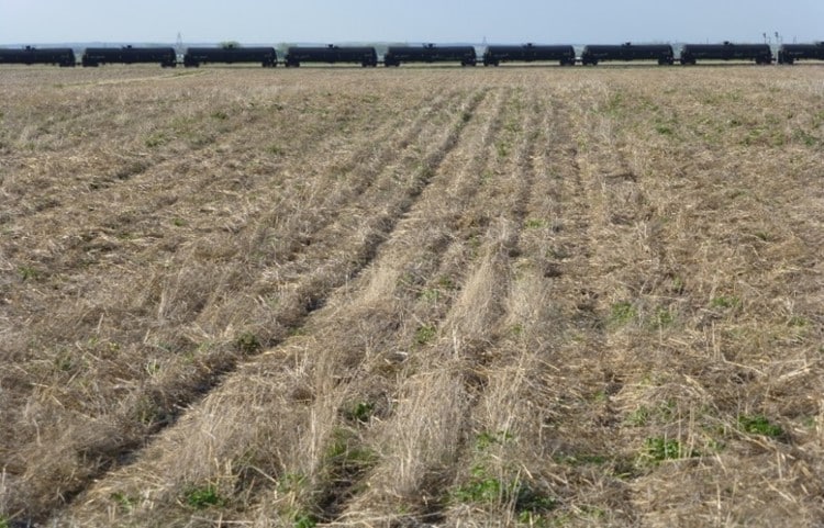 Field With Train in Background