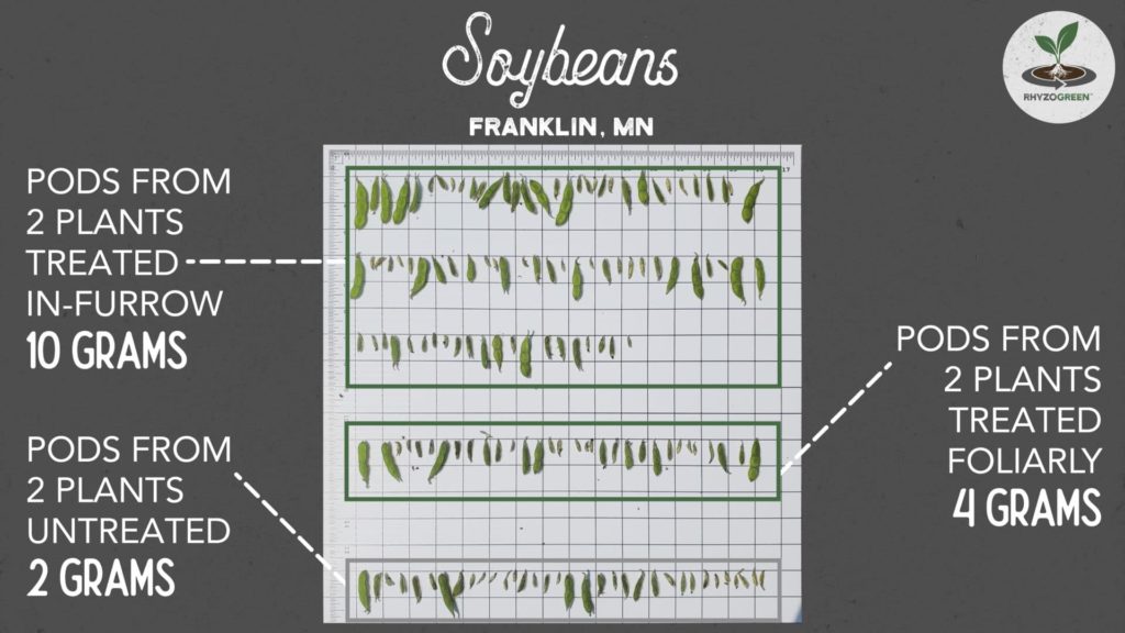 Soybeans Pod Comparison