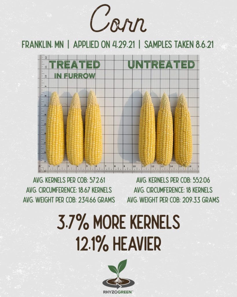 Corn Cob Yield