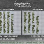 Soybeans_Franks_Deer-Field_8.3.21-1024x679 Fixed