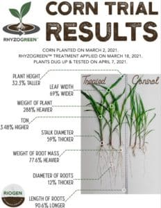 Corn Trial Results