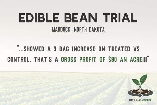 SOCIAL POST Edible Bean Trial