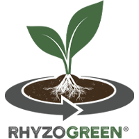 ZOOM_Ryzogreen_Logo