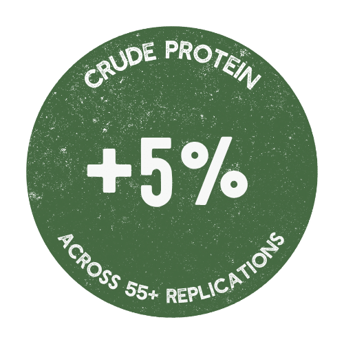 Protein