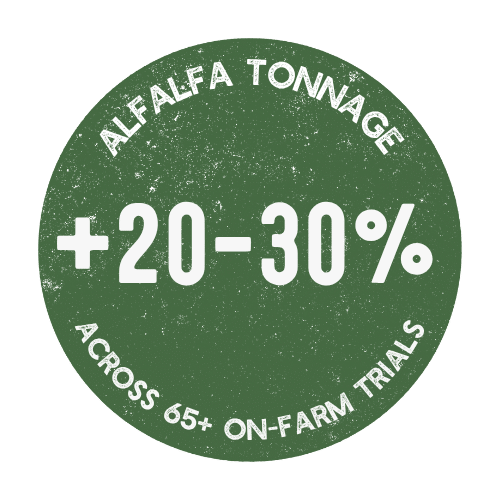 Tonnage (1)