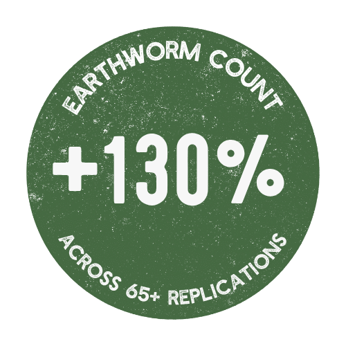 earthworm