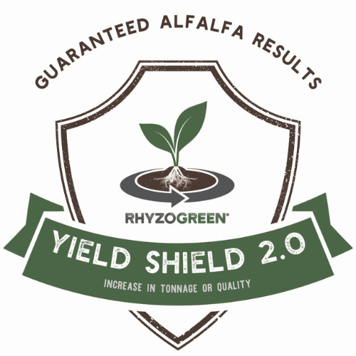 yieldshield (2)